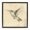 Stupell Industries Vintage Hummingbird Sketch Floating Frame, design by Petal Prints Design